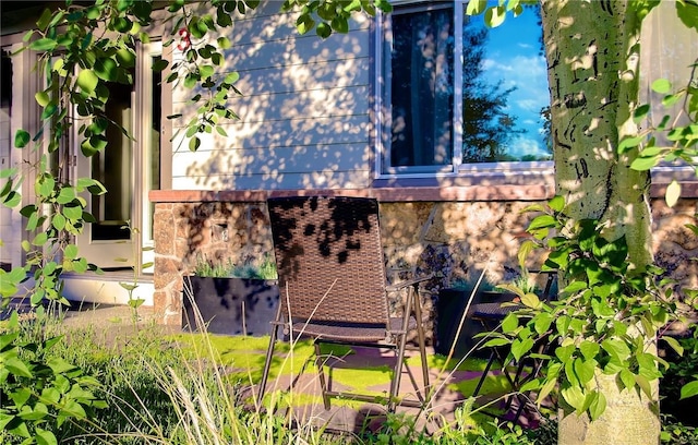 3 Cedar Ct Unit 3, Steamboat Springs, CO 80487 - view of side of home with brick siding