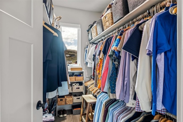23430 Postrider Trl, Oak Creek, CO 80467 - spacious closet featuring wood finished floors