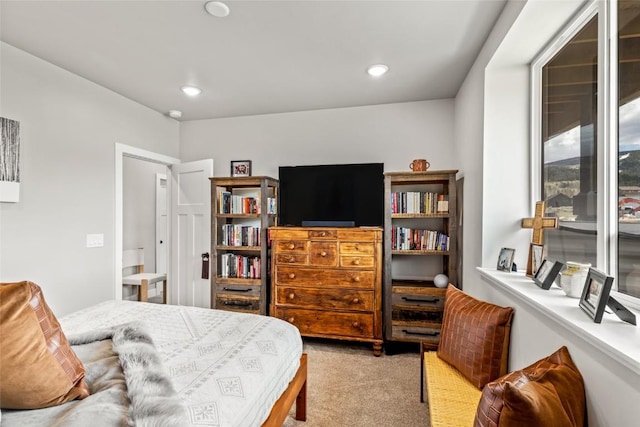 23430 Postrider Trl, Oak Creek, CO 80467 - carpeted bedroom featuring recessed lighting