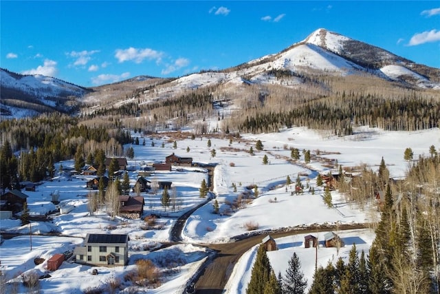 25640 6th Ave, Hahns Peak, CO 80428 - property view of mountains