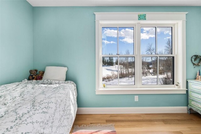 25640 6th Ave, Hahns Peak, CO 80428 - bedroom featuring baseboards and wood finished floors