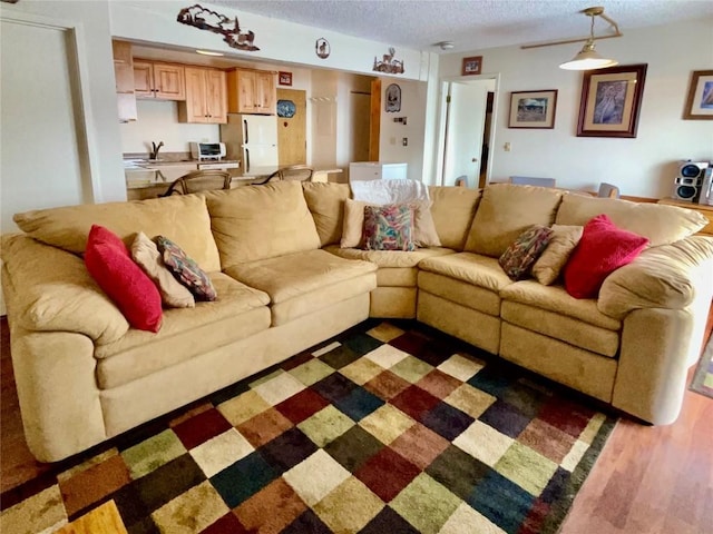 living room featuring wood finished floors and a textured ceiling