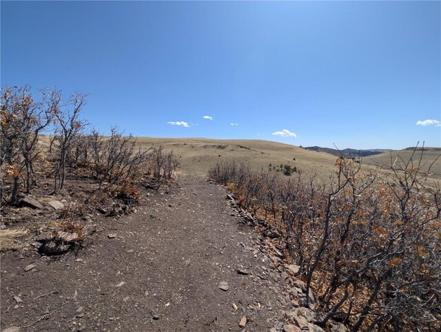 0 Wapiti Dr, Cotopaxi, CO 81212 - photo 23