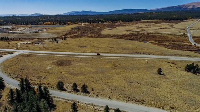 381 Platte River Dr, Fairplay, CO 80440