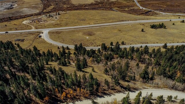 381 Platte River Dr, Fairplay, CO 80440