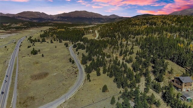 381 Platte River Dr, Fairplay, CO 80440