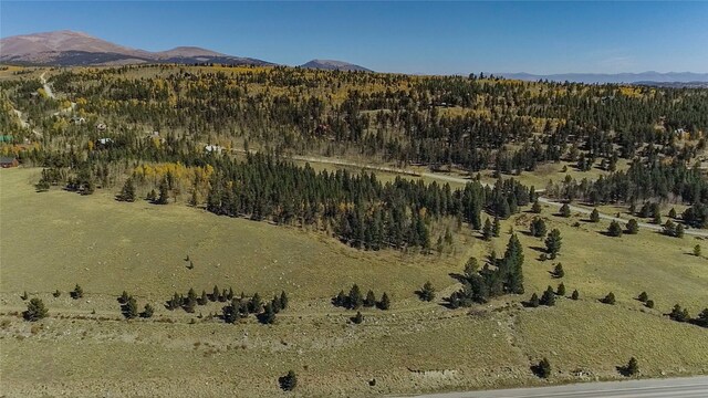 381 Platte River Dr, Fairplay, CO 80440