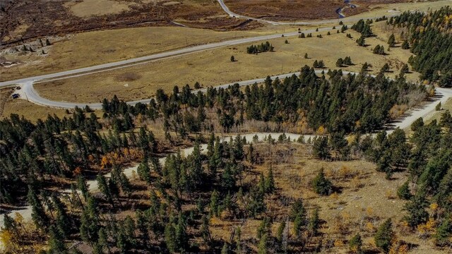 381 Platte River Dr, Fairplay, CO 80440