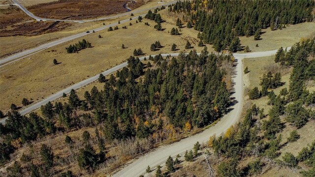 381 Platte River Dr, Fairplay, CO 80440
