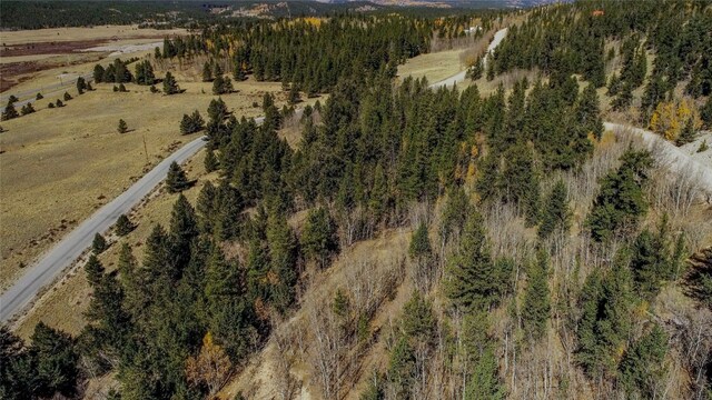 381 Platte River Dr, Fairplay, CO 80440