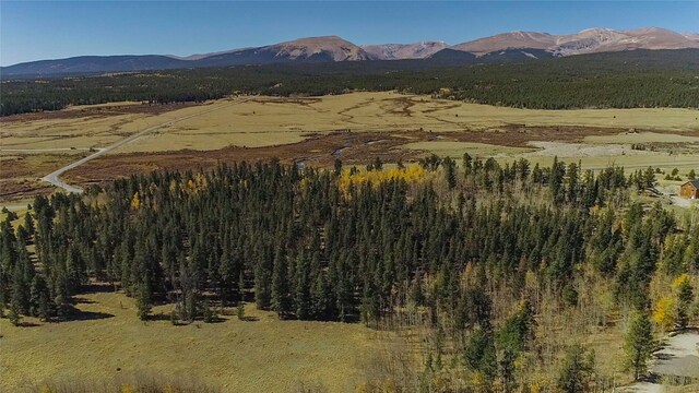 381 Platte River Dr, Fairplay, CO 80440
