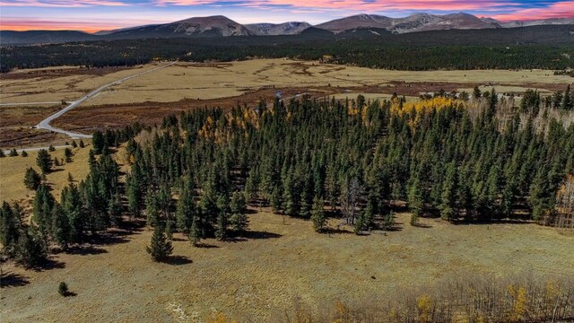 381 Platte River Dr, Fairplay, CO 80440