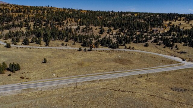 381 Platte River Dr, Fairplay, CO 80440