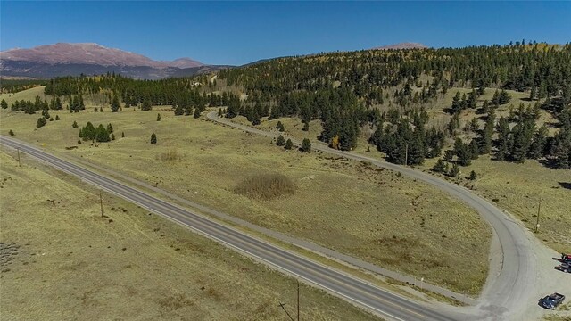 381 Platte River Dr, Fairplay, CO 80440