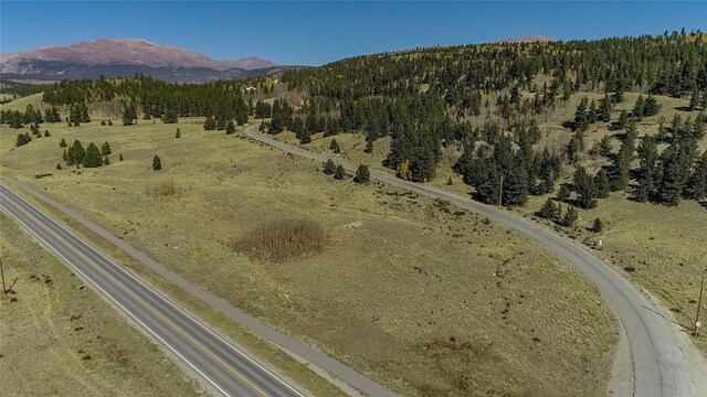381 Platte River Dr, Fairplay, CO 80440
