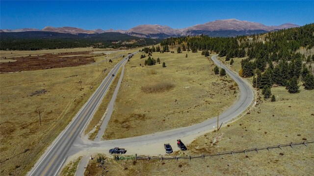 381 Platte River Dr, Fairplay, CO 80440