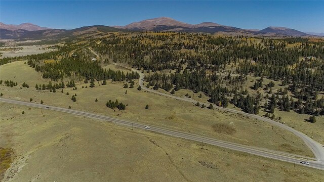 381 Platte River Dr, Fairplay, CO 80440
