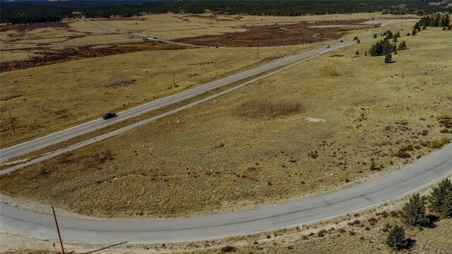 381 Platte River Dr, Fairplay, CO 80440