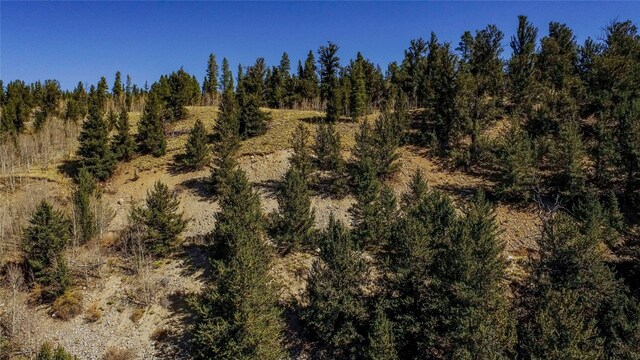 381 Platte River Dr, Fairplay, CO 80440