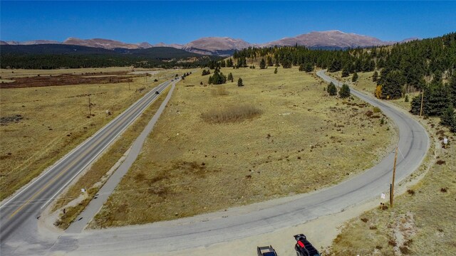 381 Platte River Dr, Fairplay, CO 80440