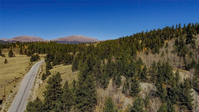 381 Platte River Dr, Fairplay, CO 80440