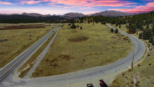 381 Platte River Dr, Fairplay, CO 80440