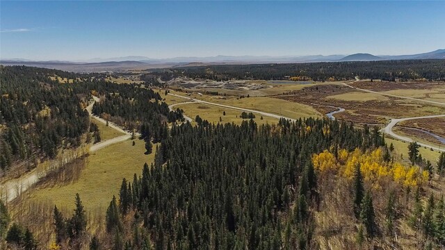 381 Platte River Dr, Fairplay, CO 80440