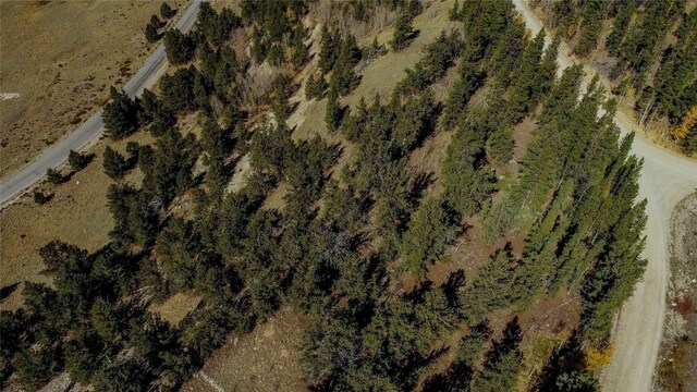 381 Platte River Dr, Fairplay, CO 80440