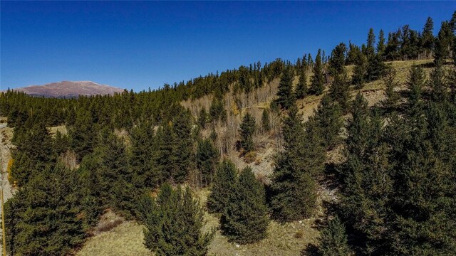 381 Platte River Dr, Fairplay, CO 80440