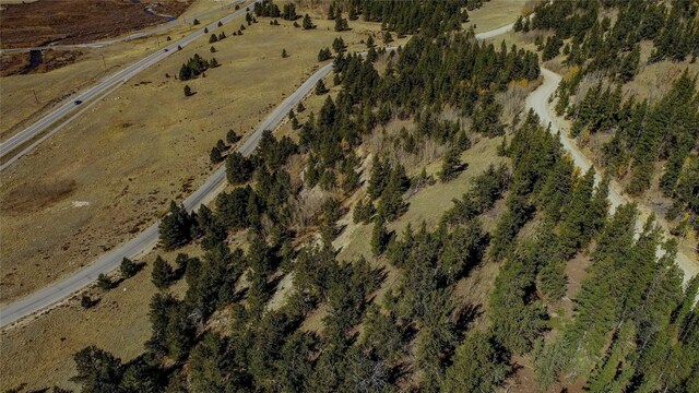 381 Platte River Dr, Fairplay, CO 80440