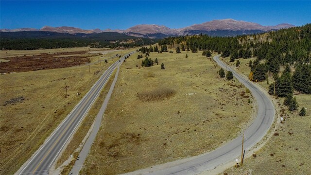 381 Platte River Dr, Fairplay, CO 80440