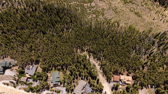 66 Apex Cir, Breckenridge, CO 80424
