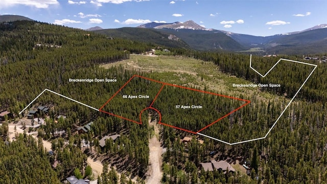 66 Apex Cir, Breckenridge, CO 80424 - photo 7