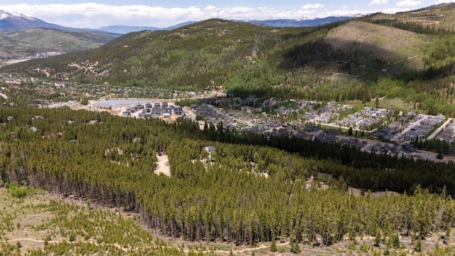 66 Apex Cir, Breckenridge, CO 80424