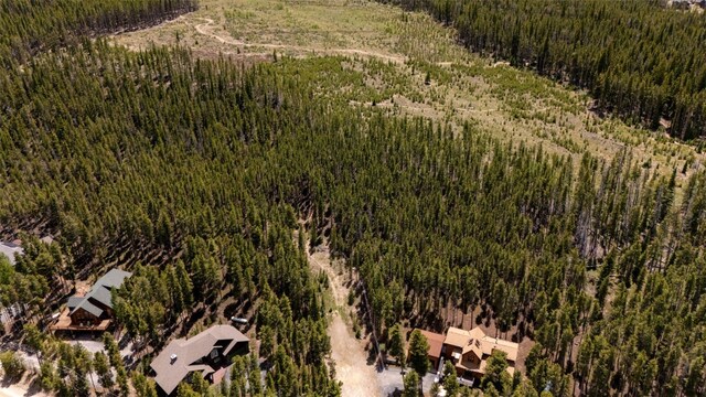 66 Apex Cir, Breckenridge, CO 80424