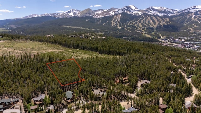 66 Apex Cir, Breckenridge, CO 80424