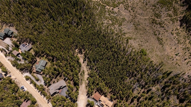 66 Apex Cir, Breckenridge, CO 80424