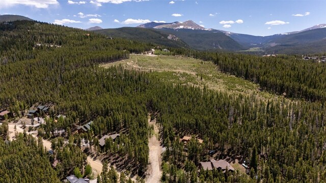 66 Apex Cir, Breckenridge, CO 80424