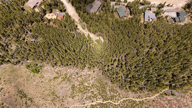66 Apex Cir, Breckenridge, CO 80424