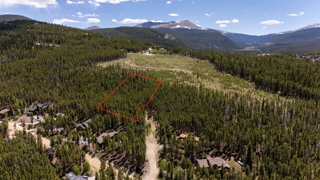 66 Apex Cir, Breckenridge, CO 80424