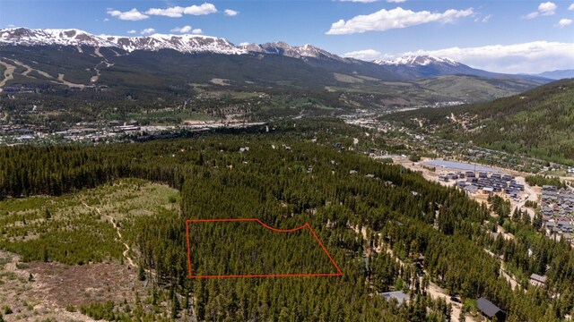 66 Apex Cir, Breckenridge, CO 80424