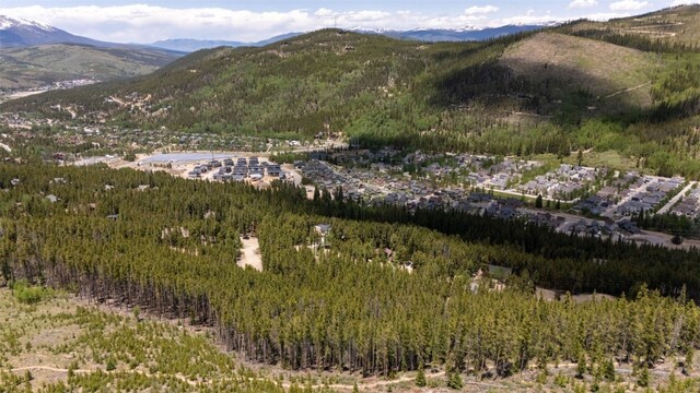 66 Apex Cir, Breckenridge, CO 80424 - photo 11