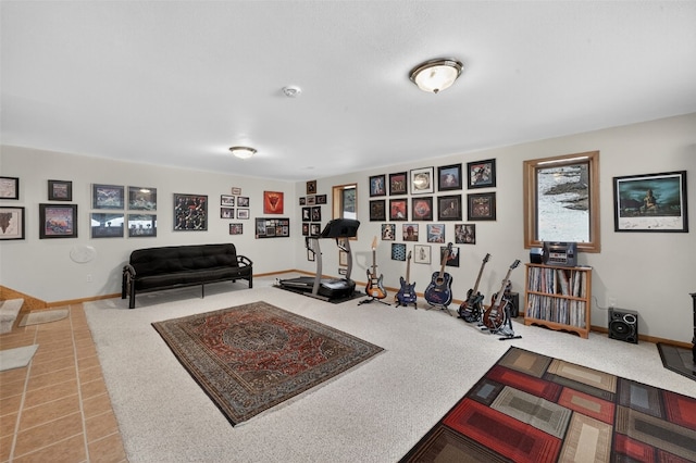 441 Kimmes Ln, Breckenridge, CO 80424 - workout area with carpet floors and baseboards