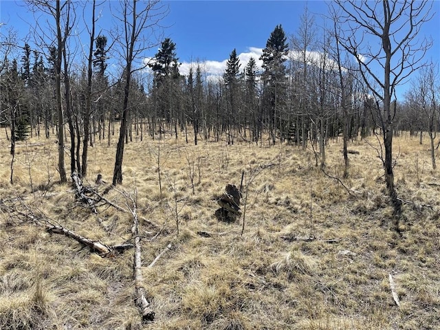 400 Vulture Ln, Como, CO 80432