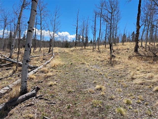 400 Vulture Ln, Como, CO 80432