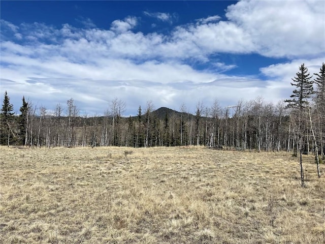 400 Vulture Ln, Como, CO 80432