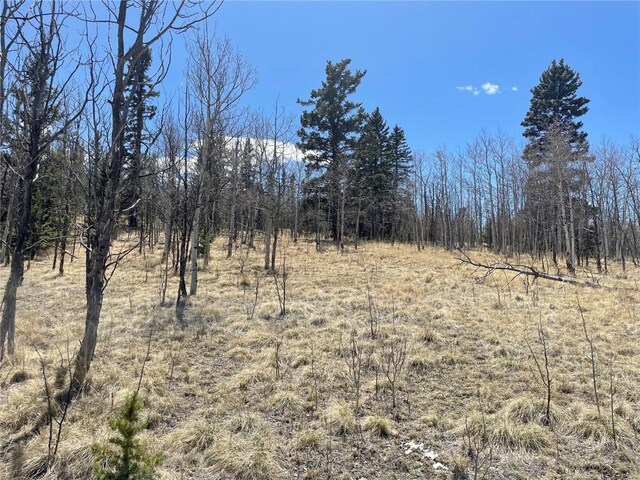 400 Vulture Ln, Como, CO 80432