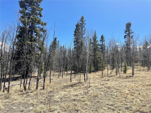 400 Vulture Ln, Como, CO 80432