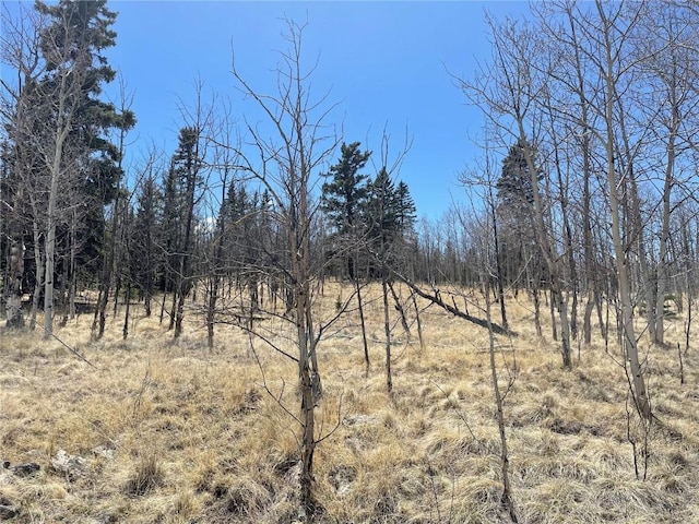 400 Vulture Ln, Como, CO 80432