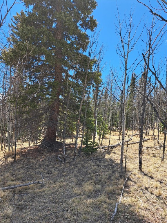 400 Vulture Ln, Como, CO 80432